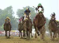 Preakness at Pimlico
