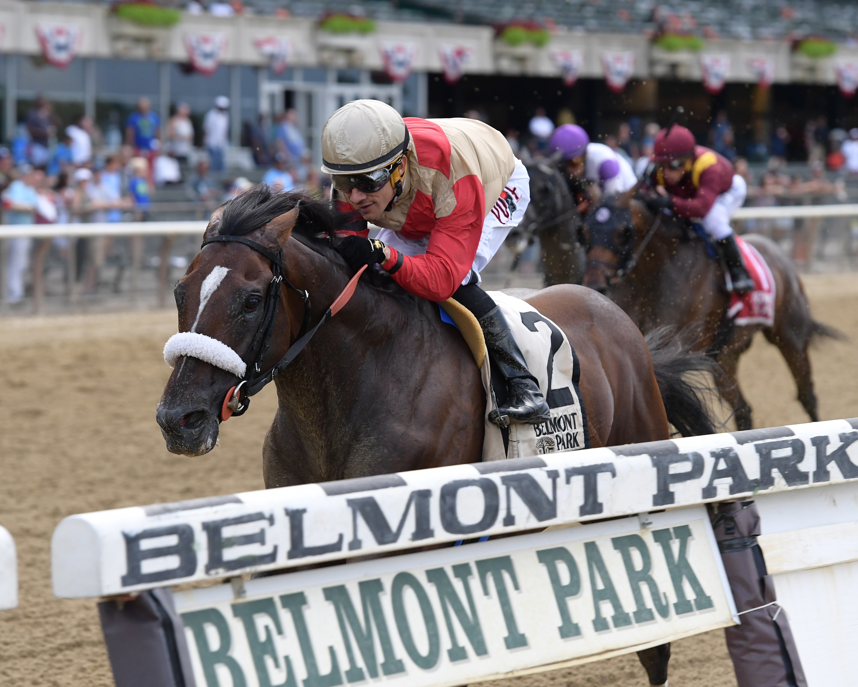Preservationist wins the 2019 Suburban Stakes