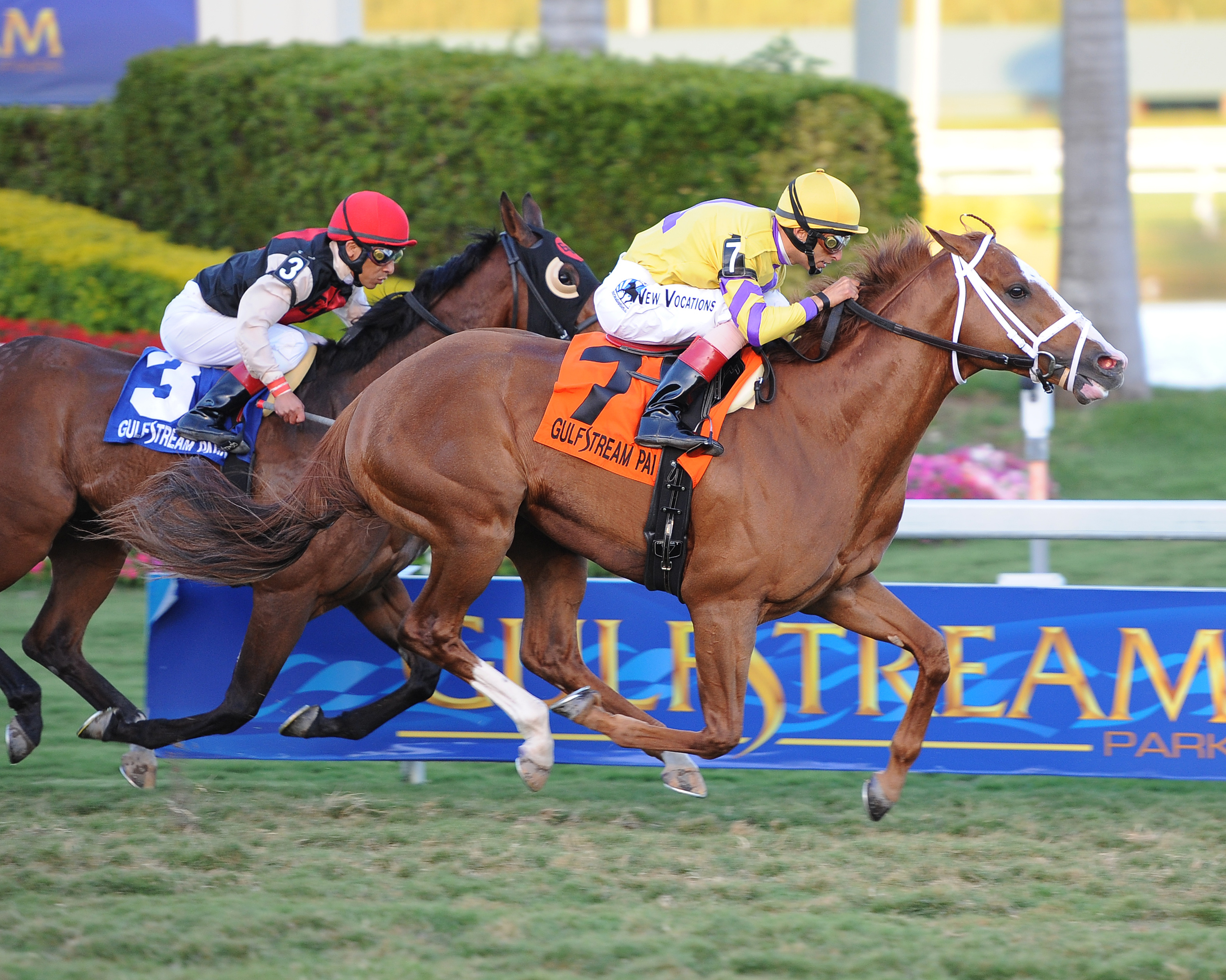 Prince Will I Am 2-19-2011