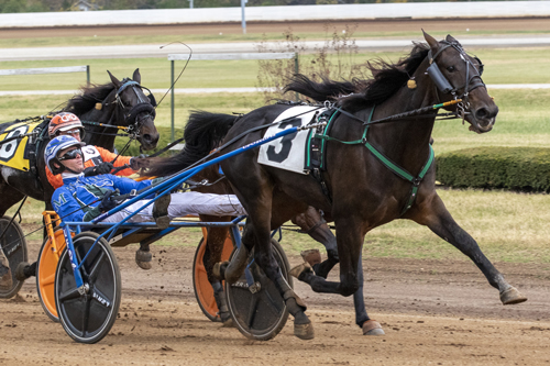 Prince Of Honor 10-31-22