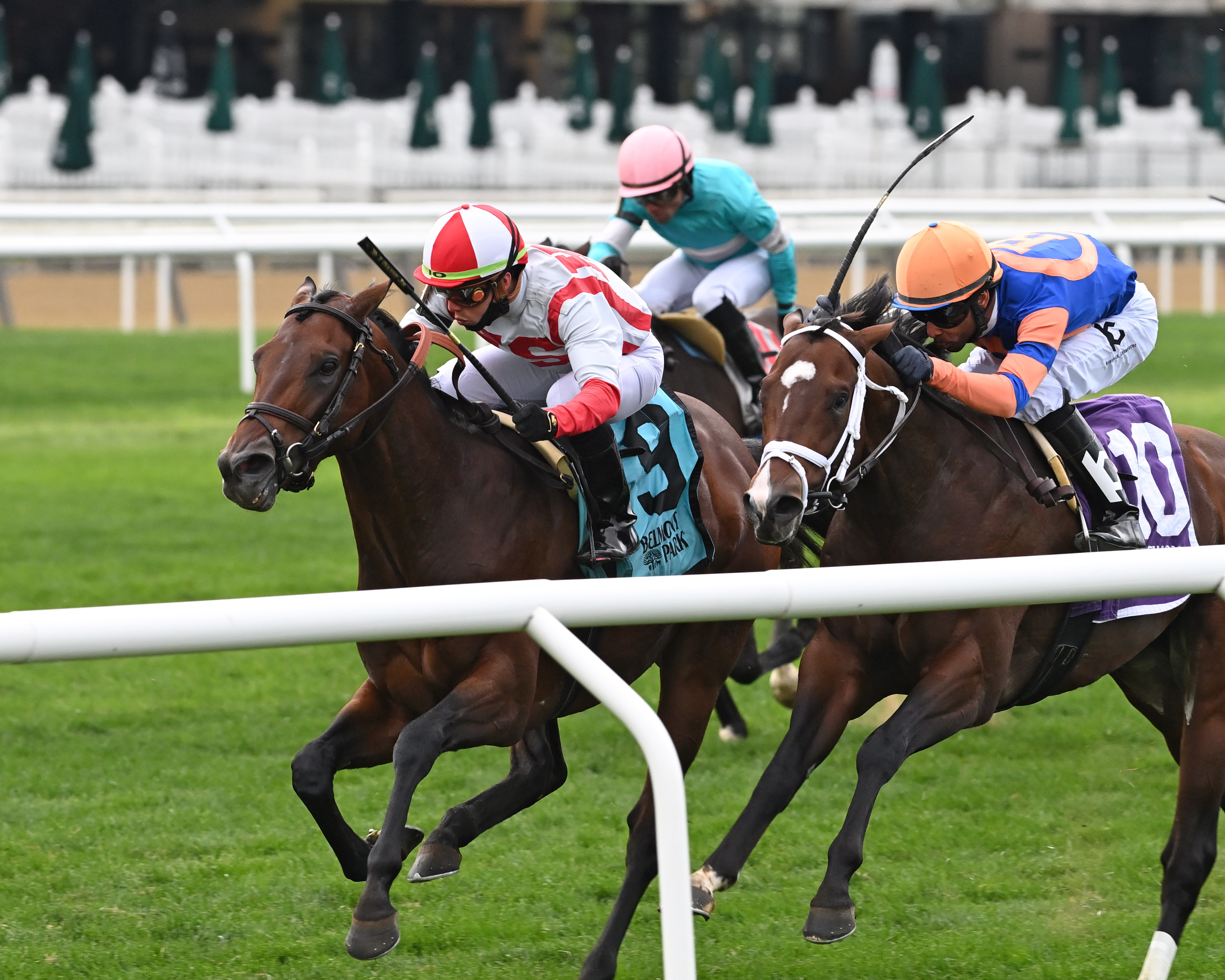 Public Sector (9) wins the Hill Prince 10-23-2021