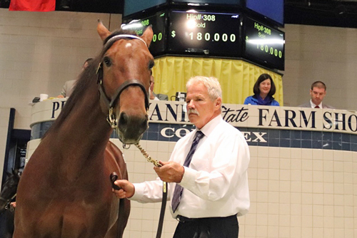 Quatrain Blue Chip 11/7/17