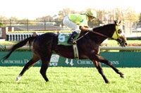 Quest Star