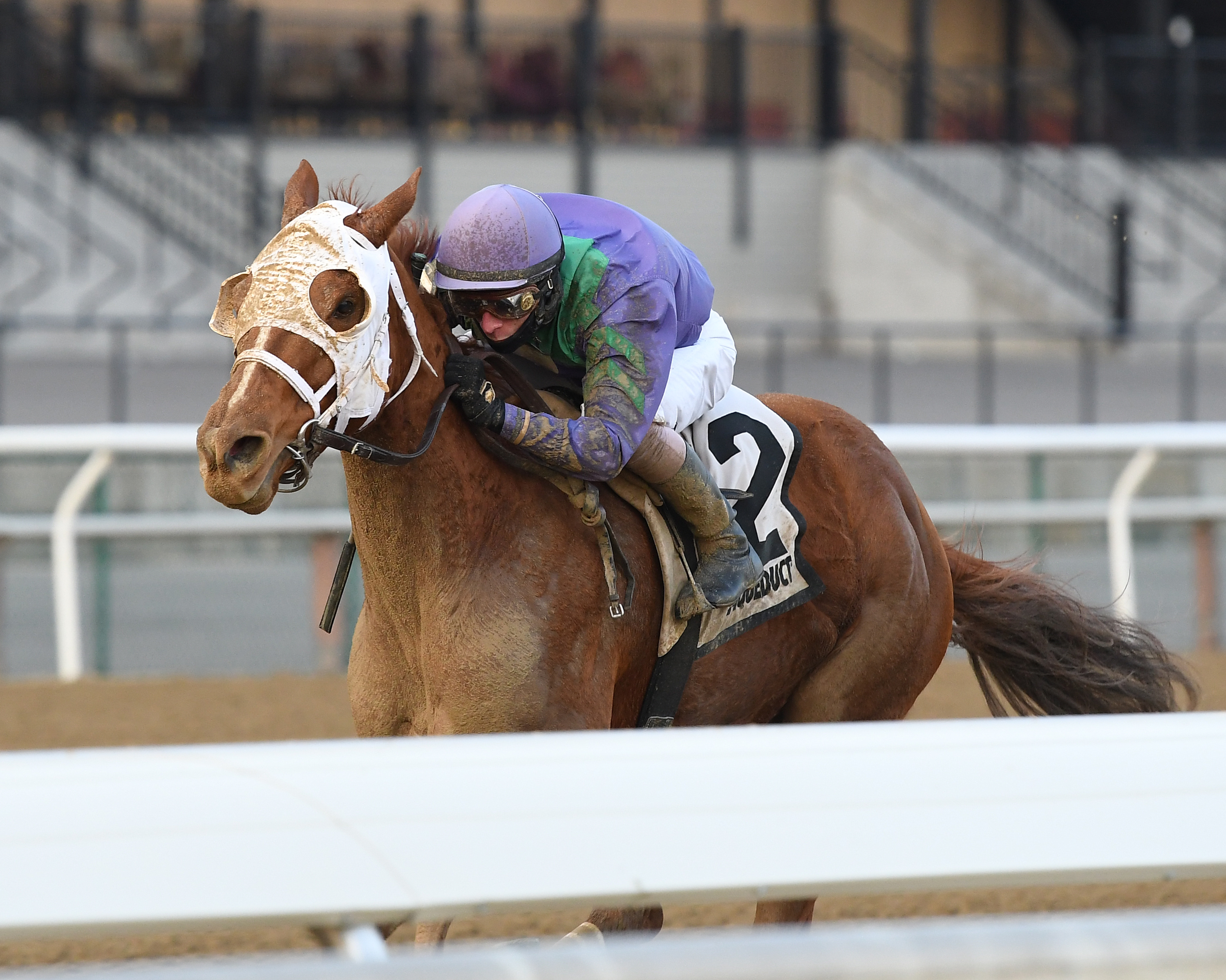 Quezon wins the 2018 La Verdad Stakes