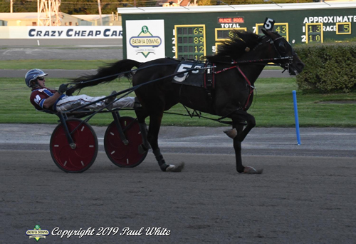 Quincy Blue Chip 8/23/19