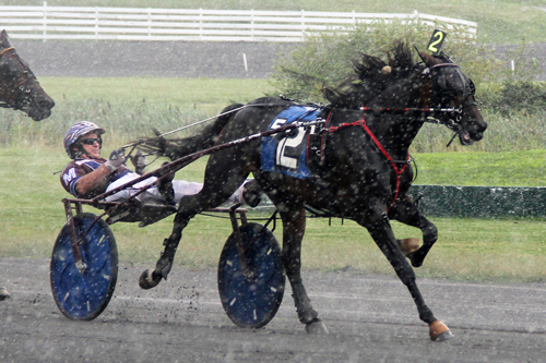 Quincy Blue Chip 7/29/19