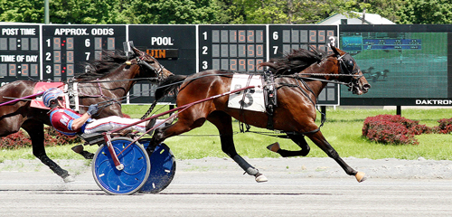 Quincy Blue Chip 6/9/19