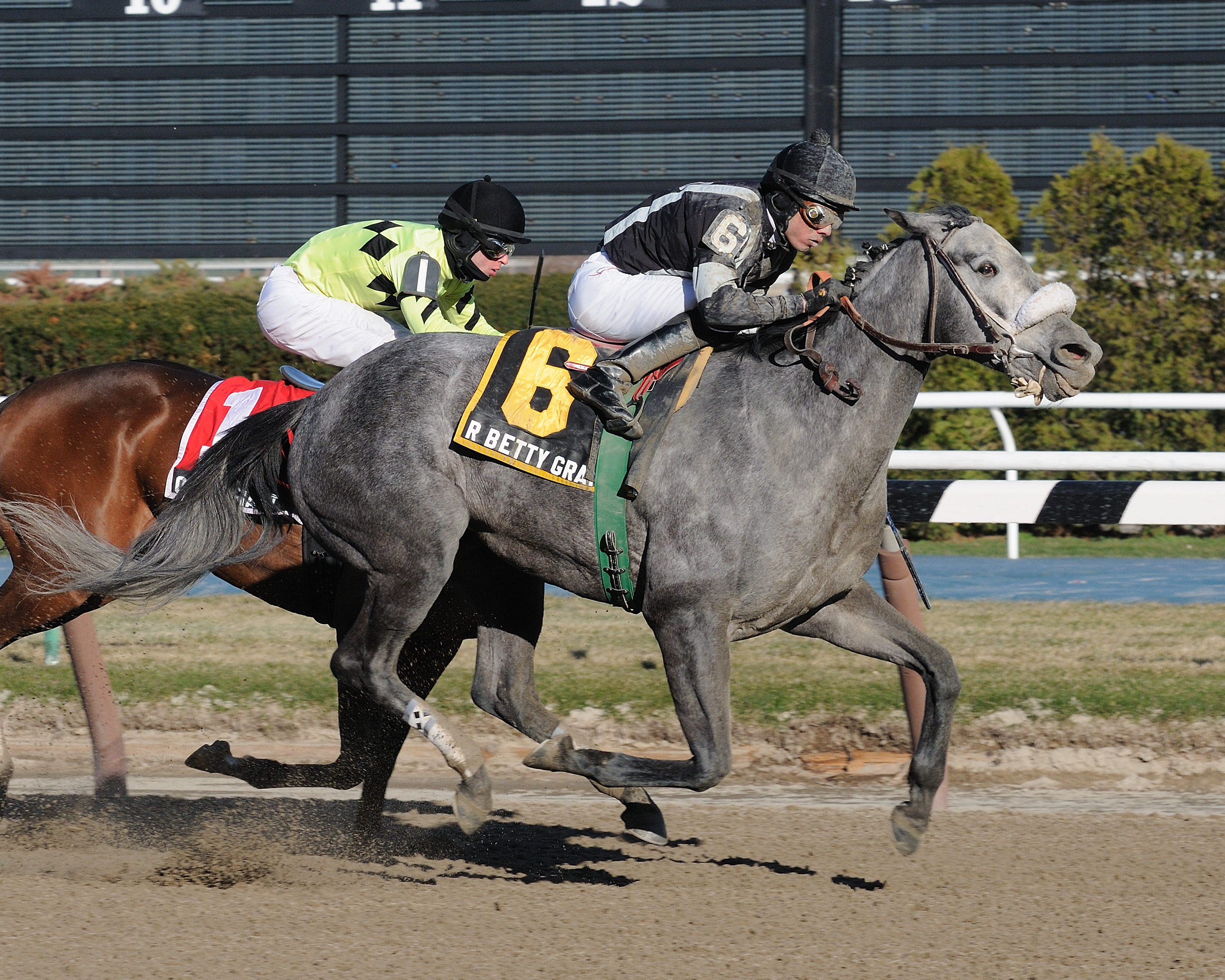 R Betty Graybull/Ladies Handicap