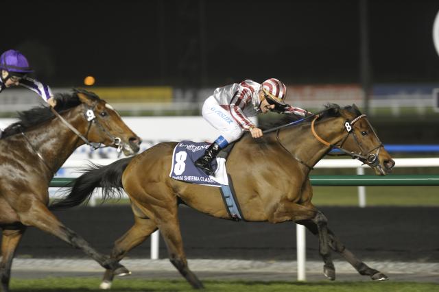 Cirrus des Aigles/Sheema Classic