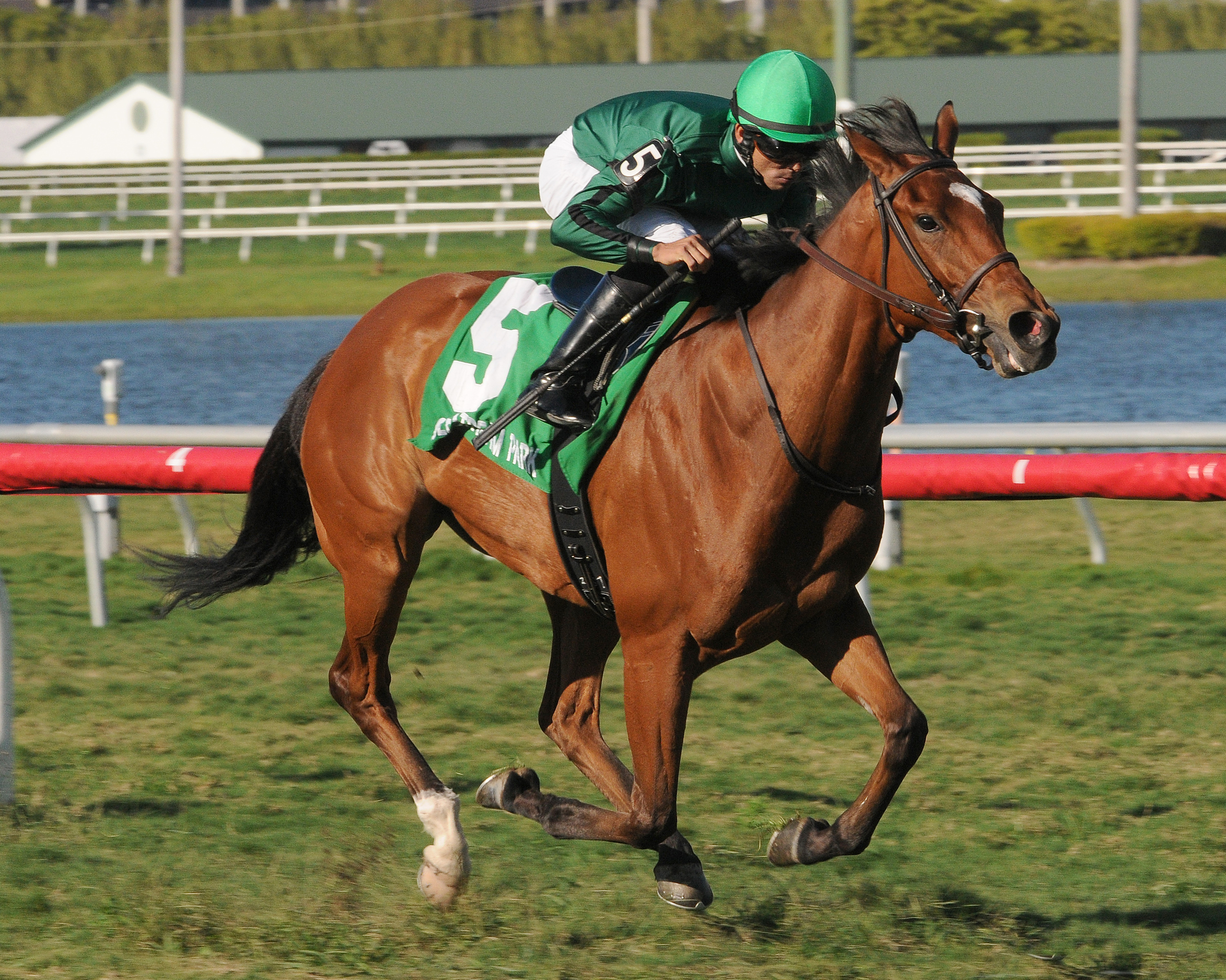Race to Urga 4-8-2012