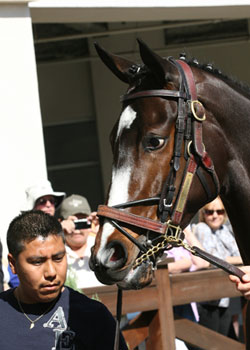 Rachel Alexandra