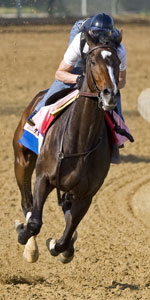 Rachel Alexandra