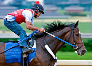 Rachel Alexandra