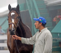 Rachel Alexandra