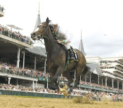 Rachel Alexandra