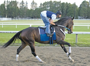 Rachel Alexandra