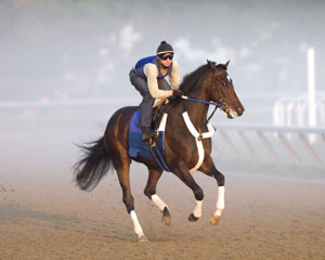 Rachel Alexandra