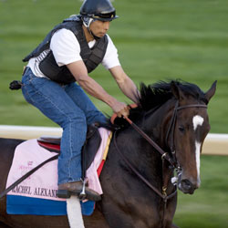 Rachel Alexandra