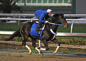 Rachel Alexandra