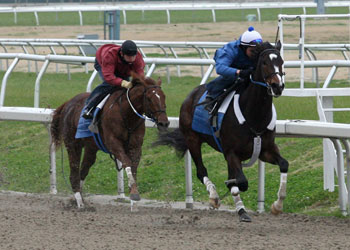 Rachel Alexandra