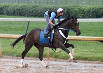 Rachel Alexandra
