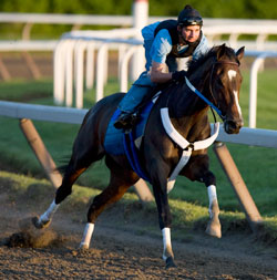 Rachel Alexandra