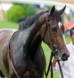 Rachel Alexandra