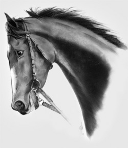 Rachel Alexandra