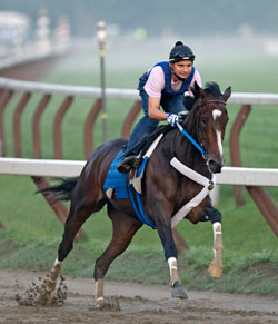 Rachel Alexandra