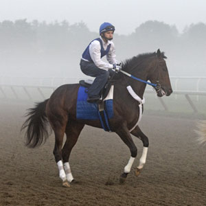 Rachel Alexandra