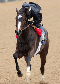 Rachel Alexandra