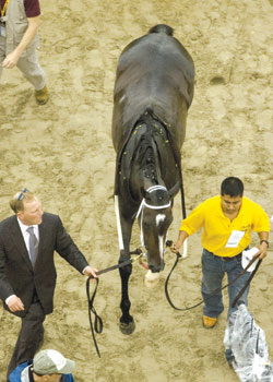 Rachel Alexandra