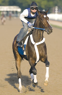 Rachel Alexandra