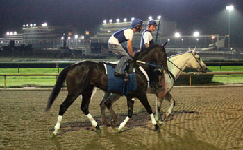 Rachel Alexandra