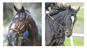 Rachel and Zenyatta