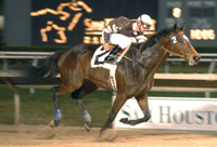 Racing Sundown