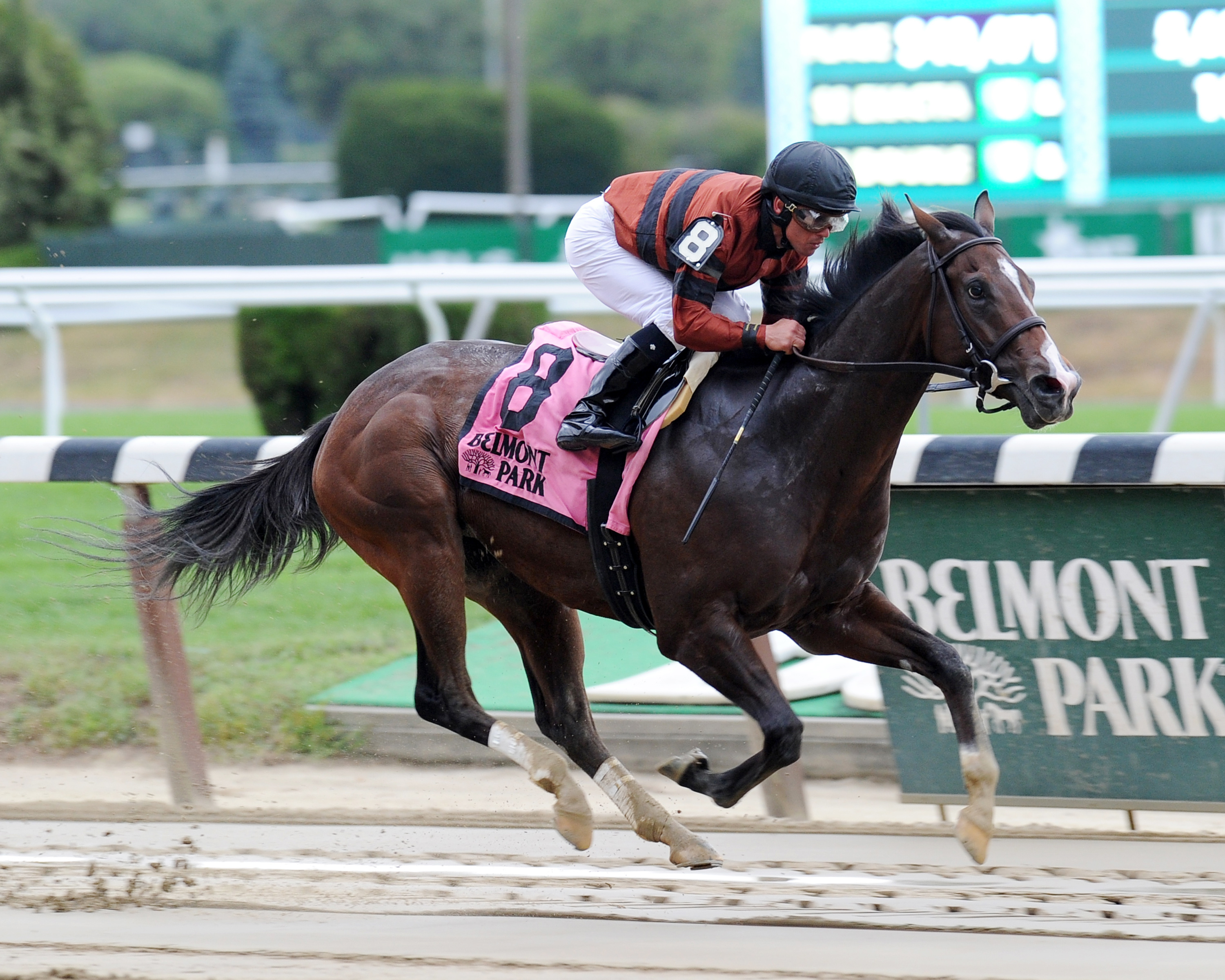 Ready for Rye wins the Allied Forces