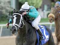 Ready To Please