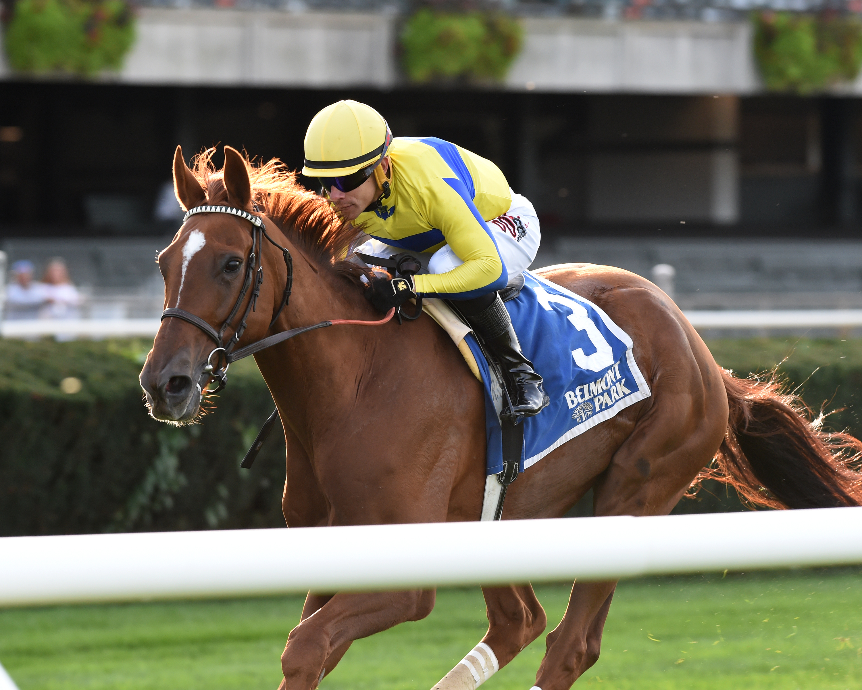 Red Knight wins the 2019 Point of Entry Stakes