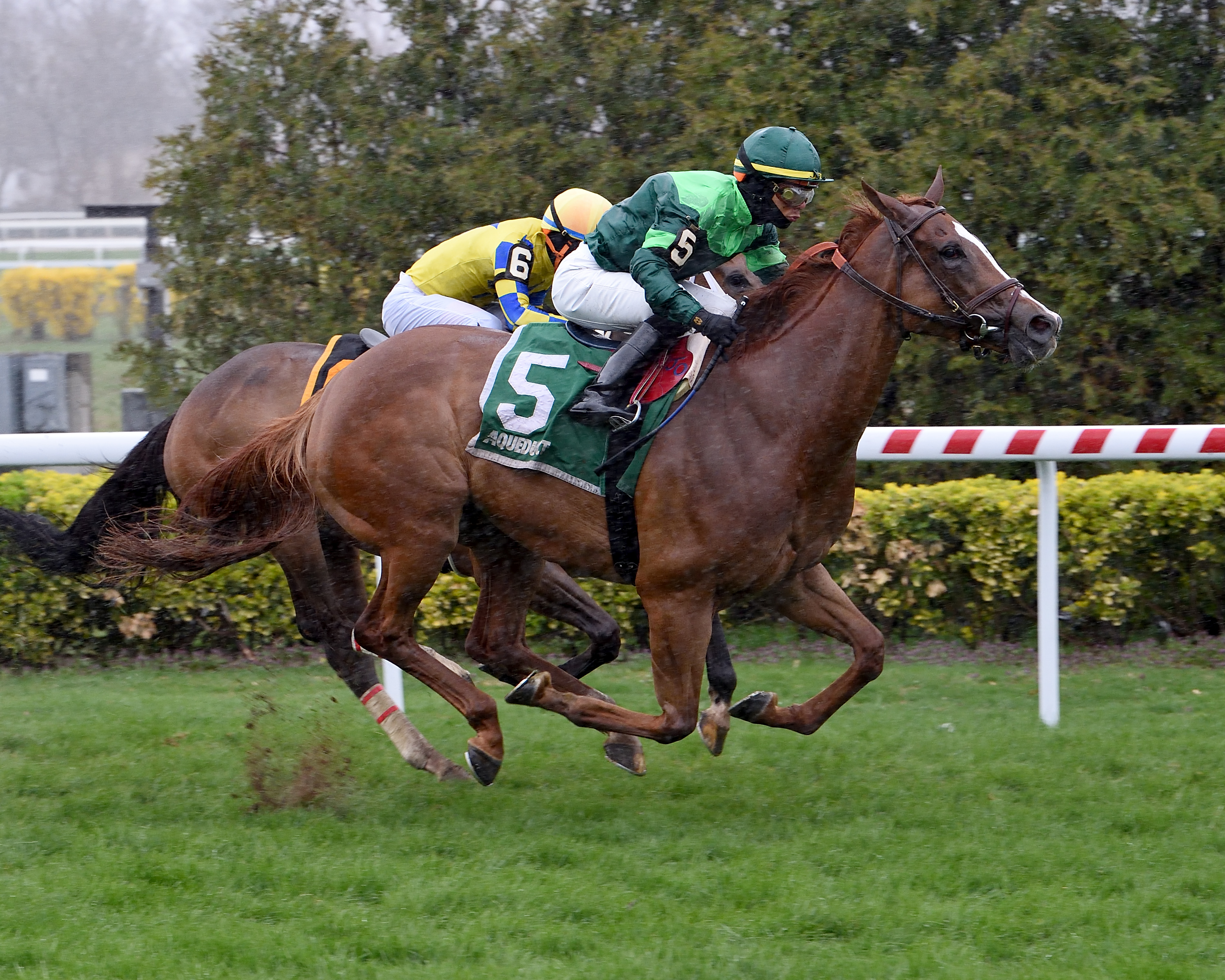Regal Glory wins Plenty of Grace 4-11-2021