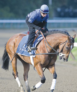 Regal Ransom