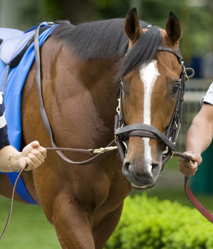 Regal Ransom