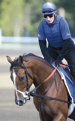 Regal Ransom