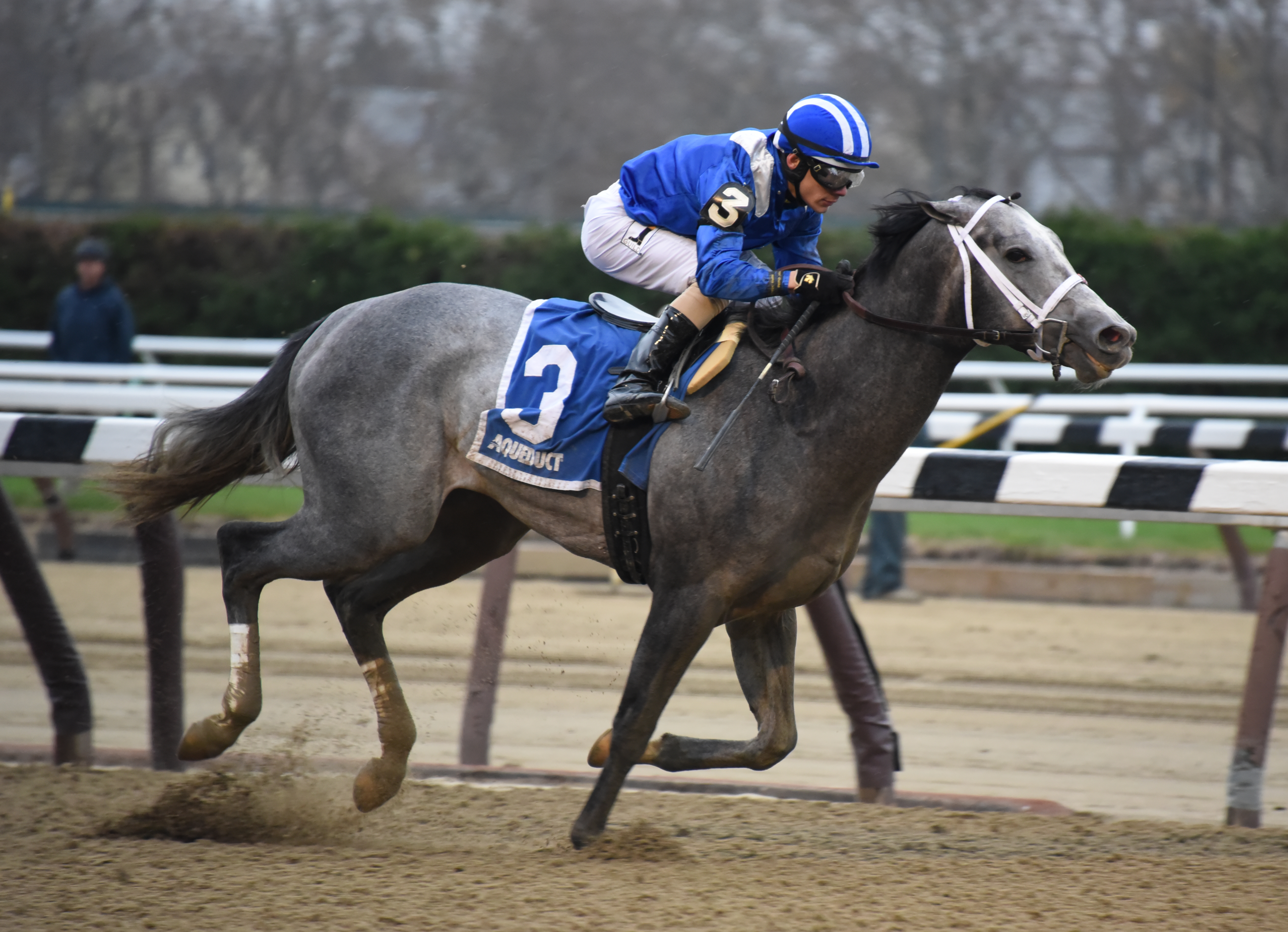 Mohaymen