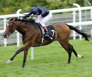 Rip Van Winkle
