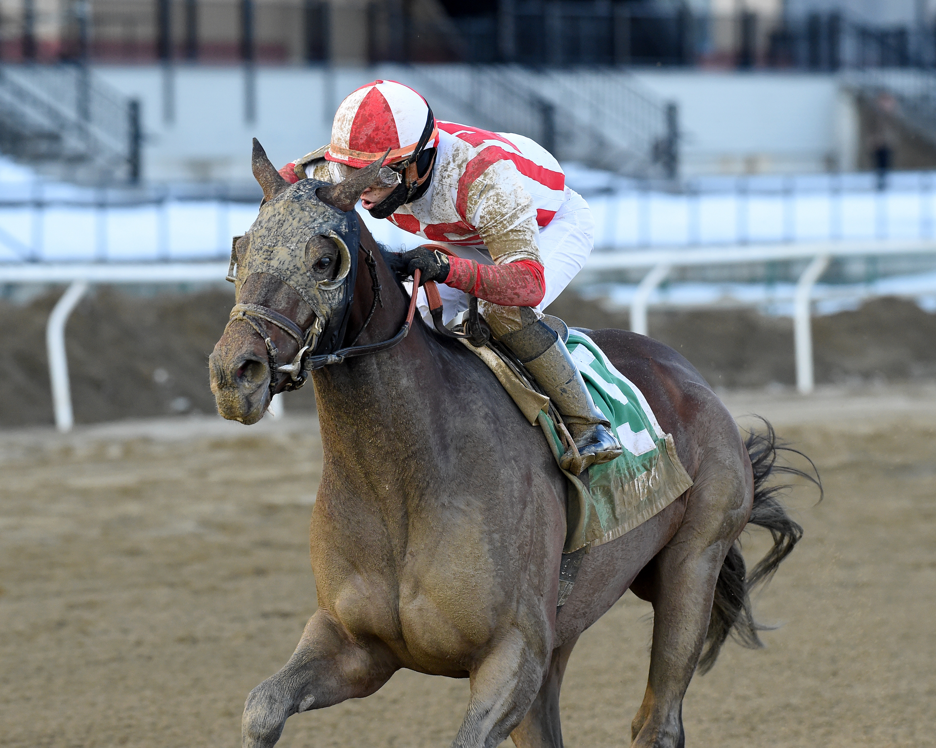 Risk Taking wins the Withers 2-6-2021