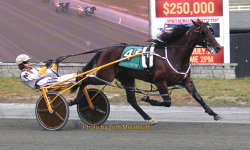 R Maddy Blue Chip 10/7/19