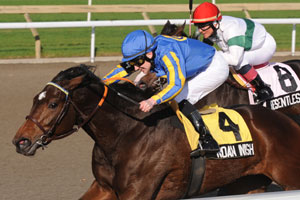 Roan Irish
