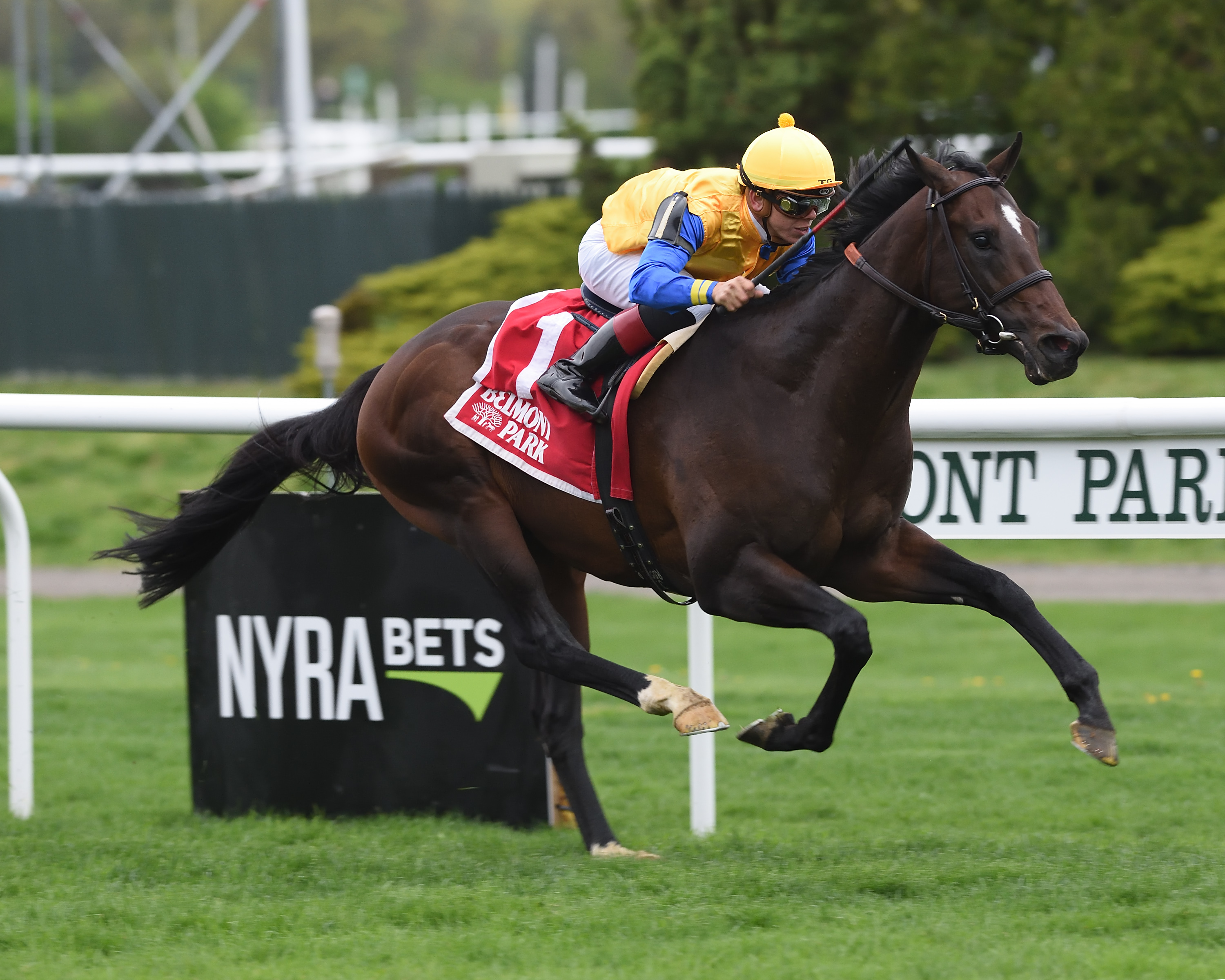 Robert Bruce wins the 2018 Fort Marcy