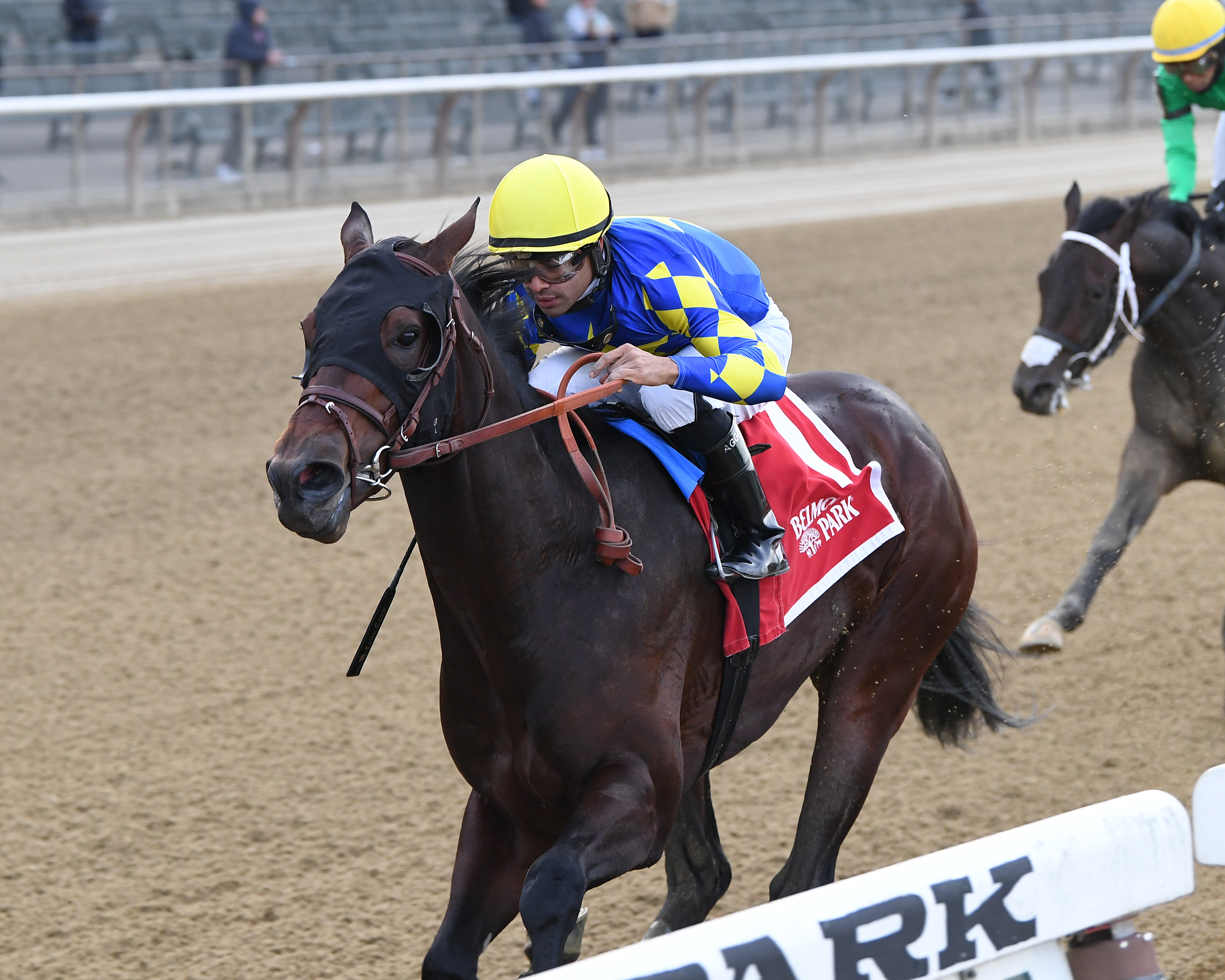 Rockefeller wins Nashua 11-7-2021
